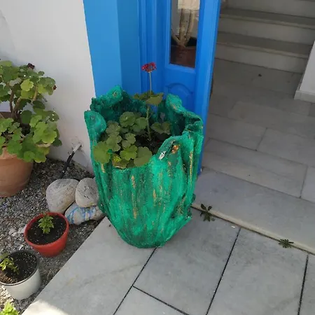 Vitzileos Apartman *