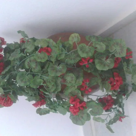 Apartman Vitzileos *