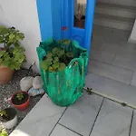 Vitzileos Apartment *