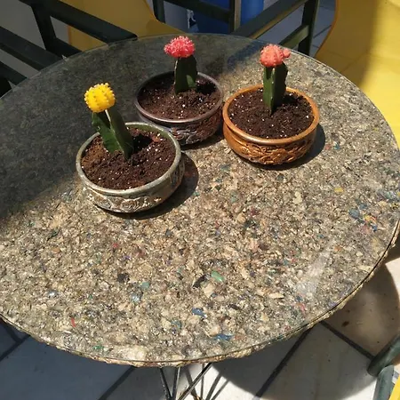 Vitzileos 公寓 阿吉奥斯普罗科皮奥斯